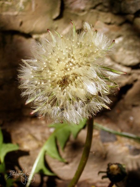 Фотовиставка Тетяни Должко
